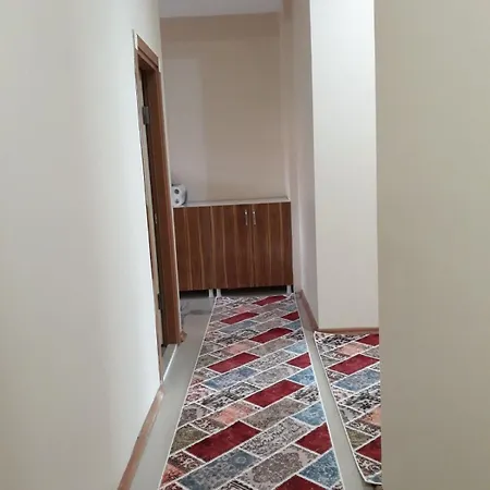 Woo Darıca